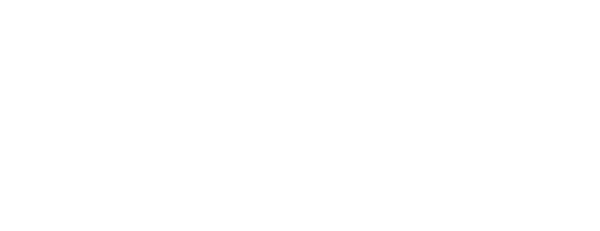 Make the Switch logo